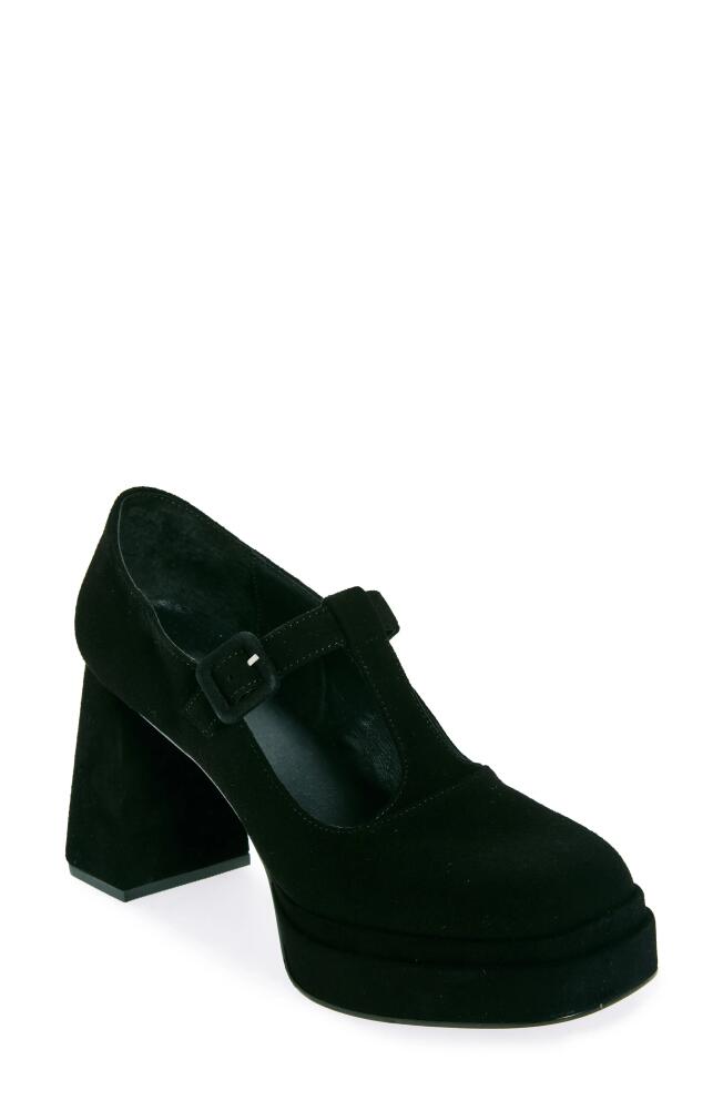 KOKO + PALENKI Perri T-Strap Platform Pump in Black Suede Cover