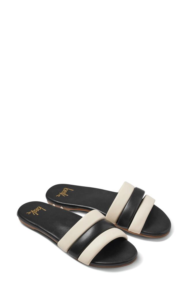 Beek Calibird Slide Sandal in Black Cover