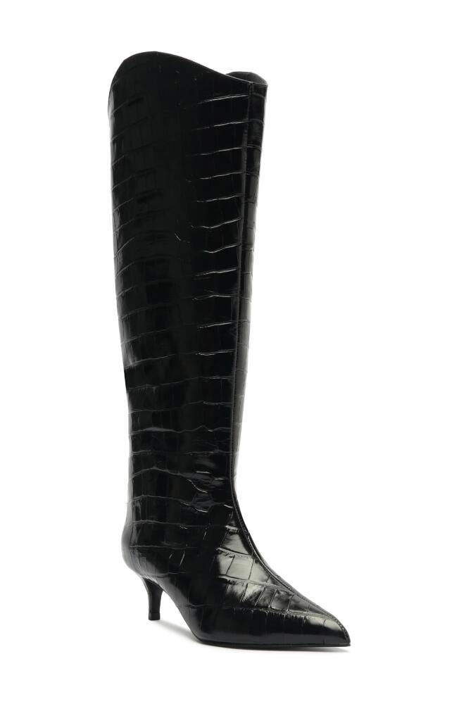 Schutz Maryana Pointed Toe Knee High Kitten Heel Boot in Black Cover