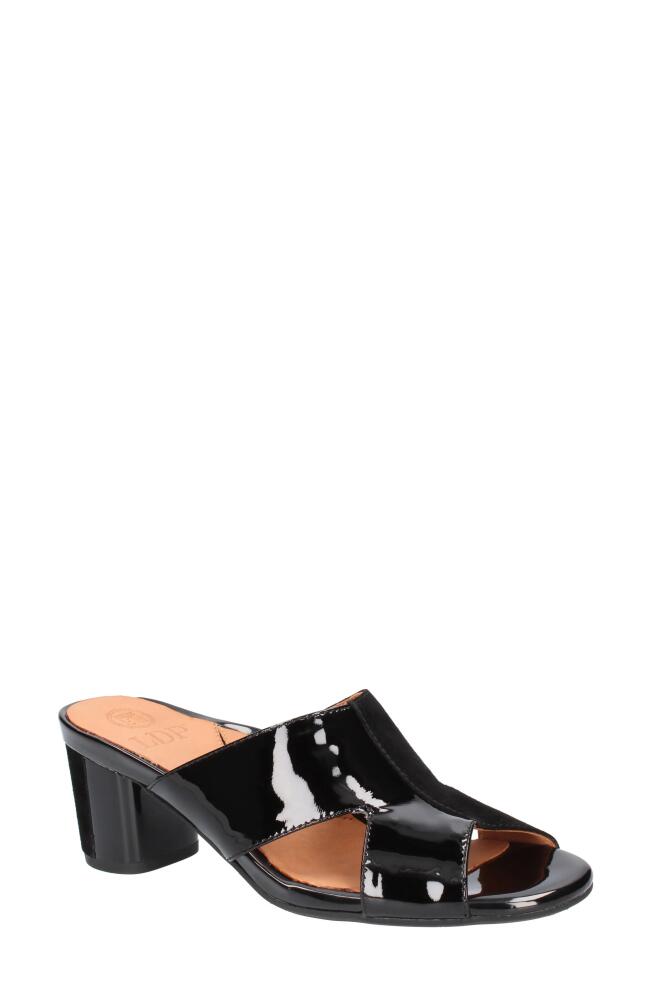 L'Amour des Pieds Melena Sandal in Black Cover