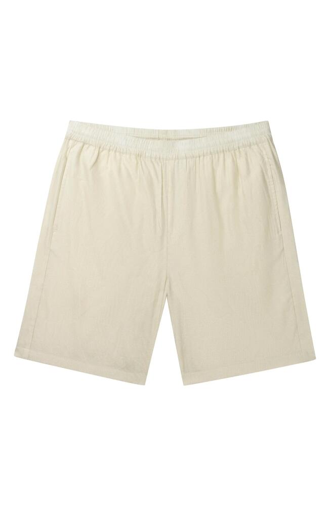 DAILY PAPER Salim Shorts in Frost White Cover