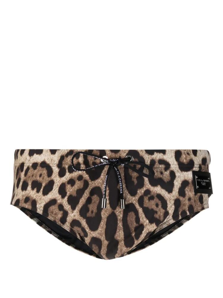 Dolce & Gabbana leopard print swimming trunks - Brown Cover