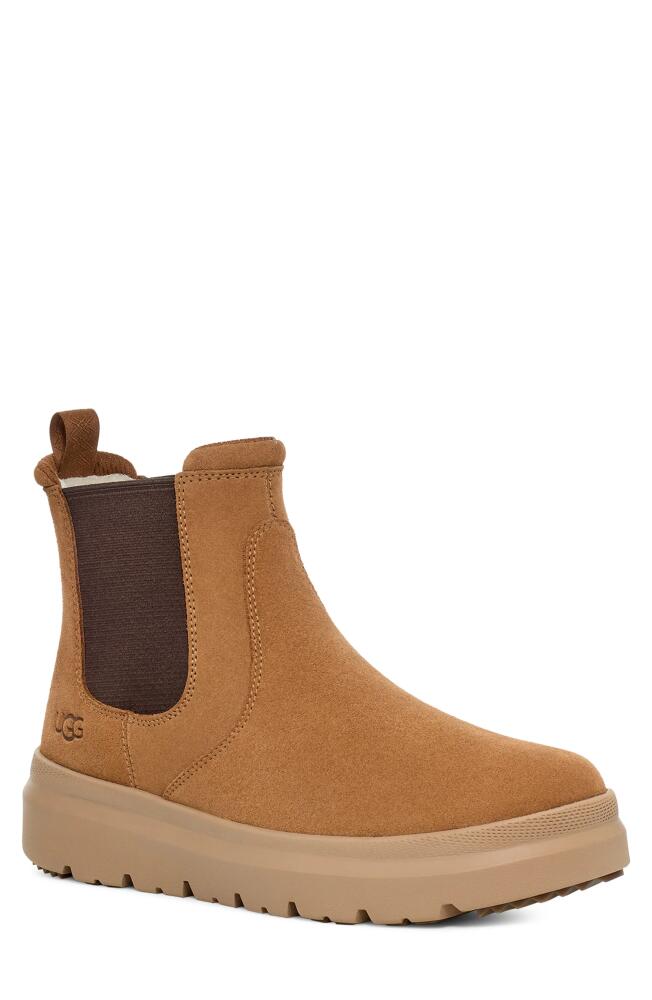 UGG(r) Burleigh Chelsea Boot in Chestnut Cover