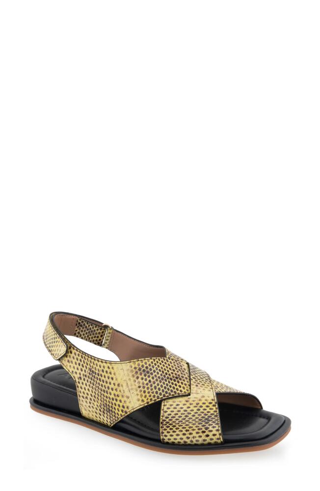 Aerosoles Bron Slingback Wedge Sandal in Green Sheen Snake Leather Cover