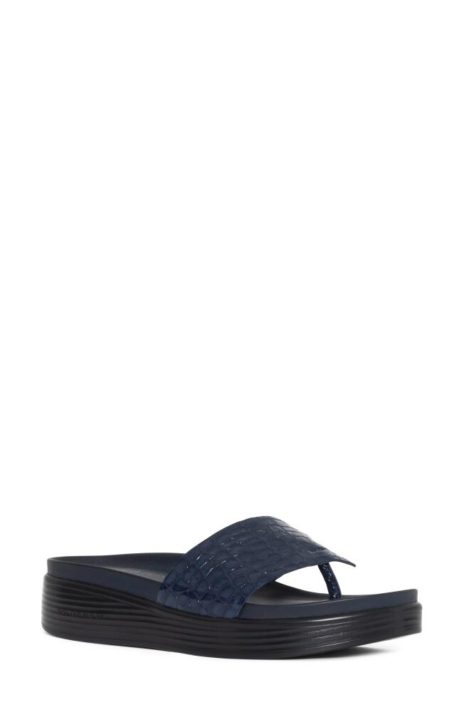 Donald Pliner Fifi Platform Wedge Flip Flop in Navy Cover