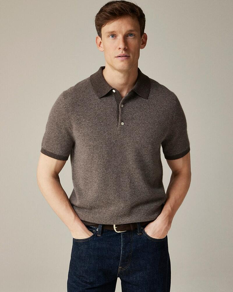 J.Crew Short-sleeve cashmere sweater-polo in bird's-eye Cover