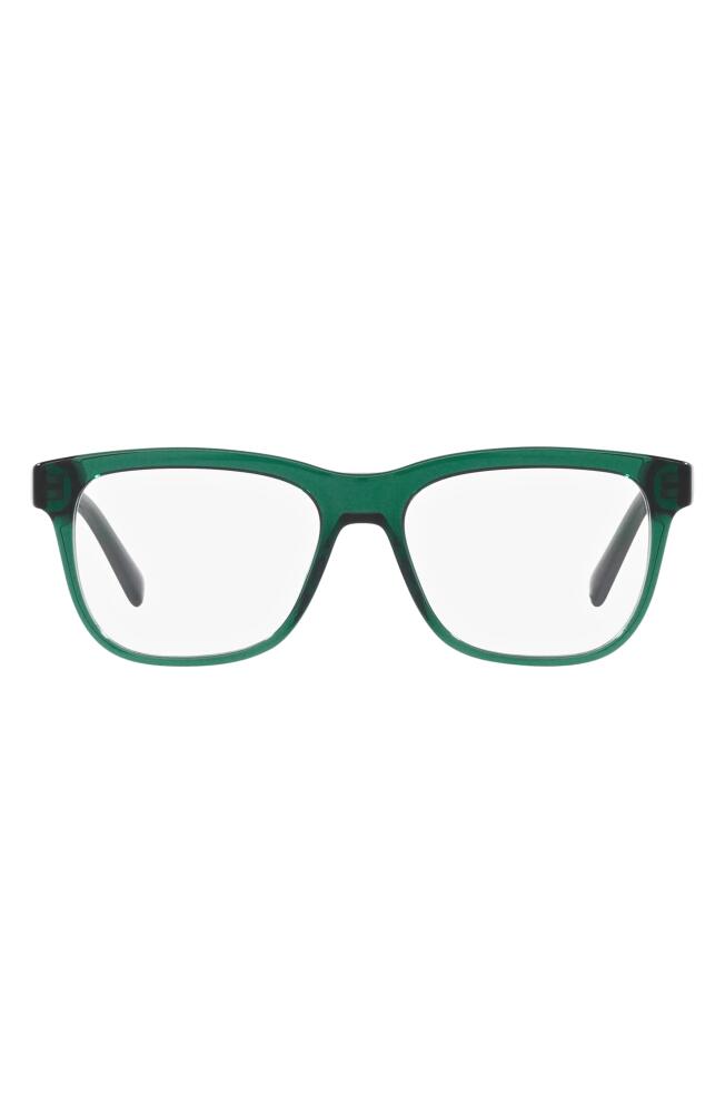 Dolce & Gabbana 49mm Rectangular Glasses in Transparent Green Cover