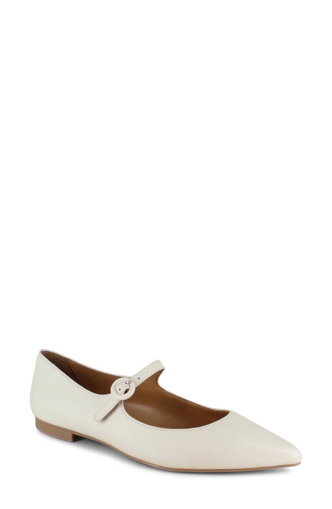 Splendid Mariana Pointed Toe Mary Jane Flat in Oat Cover