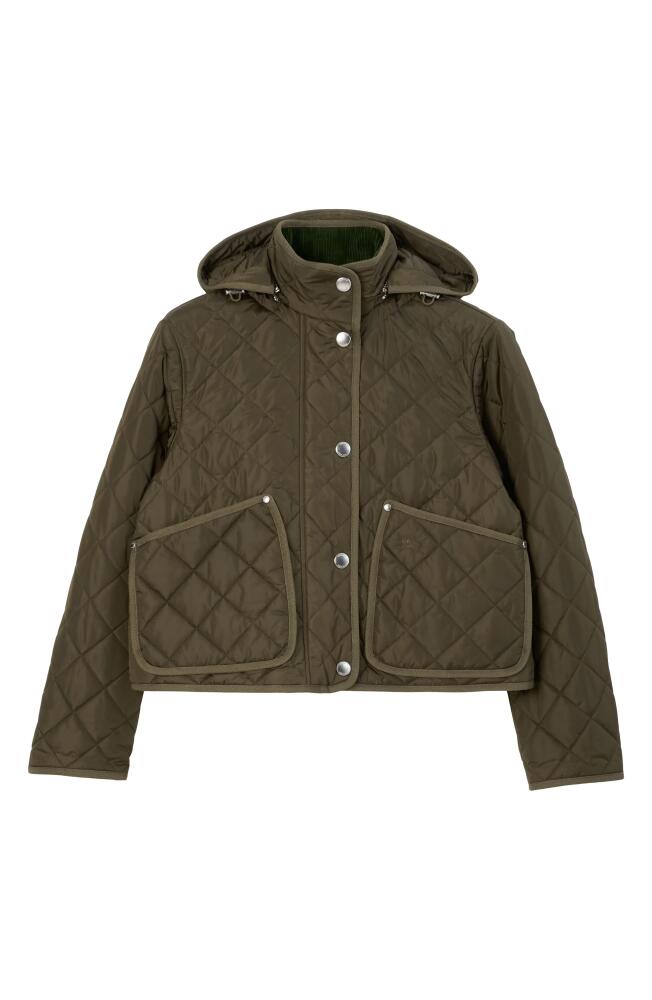 burberry Humbie Diamond Quilted Nylon Hooded Jacket in Dark Military Khaki Cover