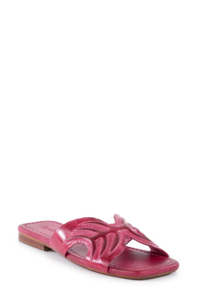 Seychelles Madhu Slide Sandal in Fuchsia Cover