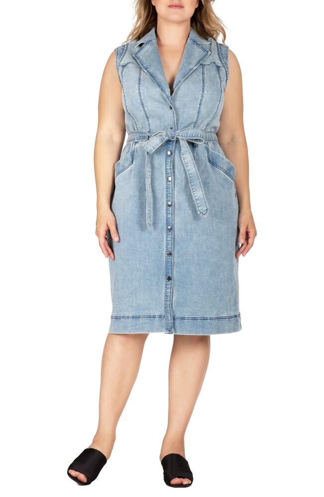 Standards & Practices Sleeveless Tie Waist Denim Dress in Bluestone Cover