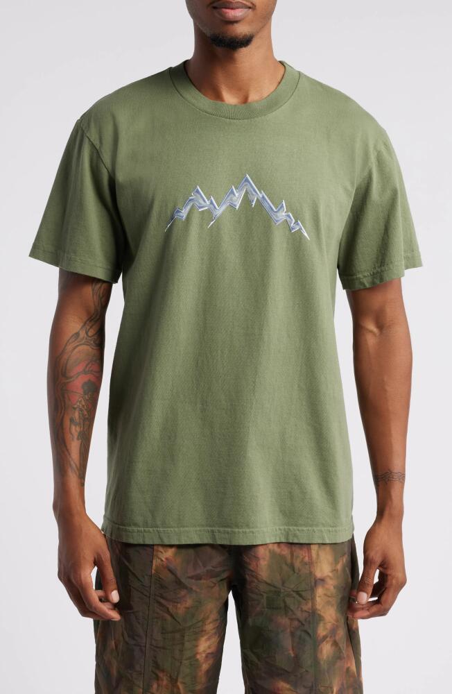 Afield Out Alp Graphic T-Shirt in Sage Cover