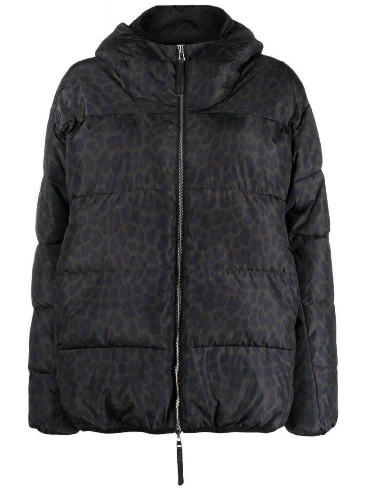 P.A.R.O.S.H. Patricle reversible padded jacket - Black Cover