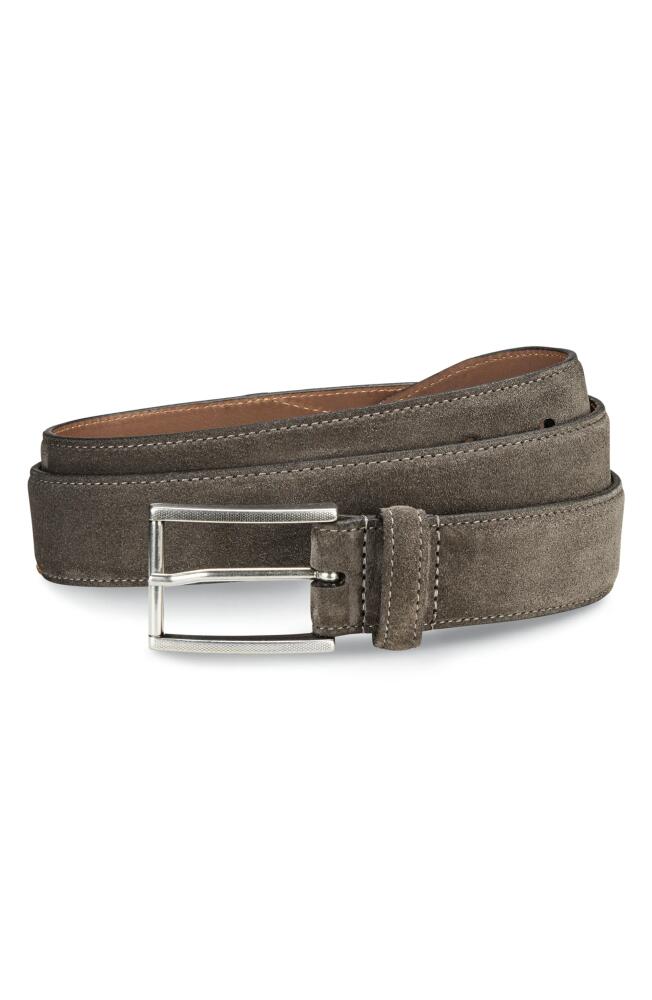 Allen Edmonds Suede Avenue Leather Belt in Grey Suede Cover