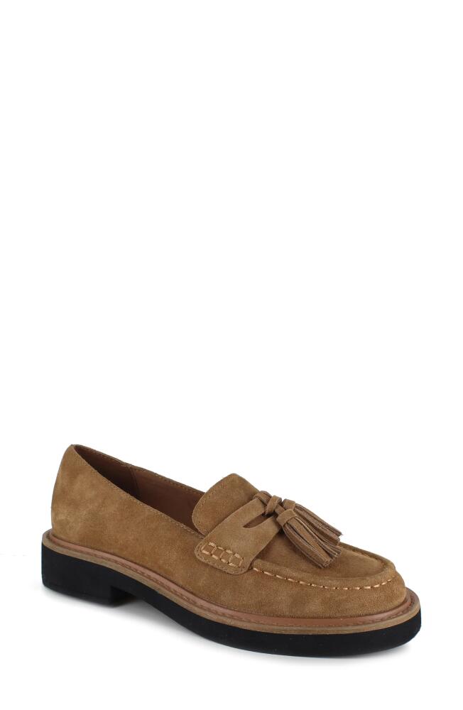 Splendid Caio Tassel Loafer in Macchiato Cover