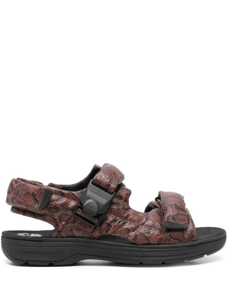 Martine Rose x Clarks snakeskin-print sandals - Brown Cover