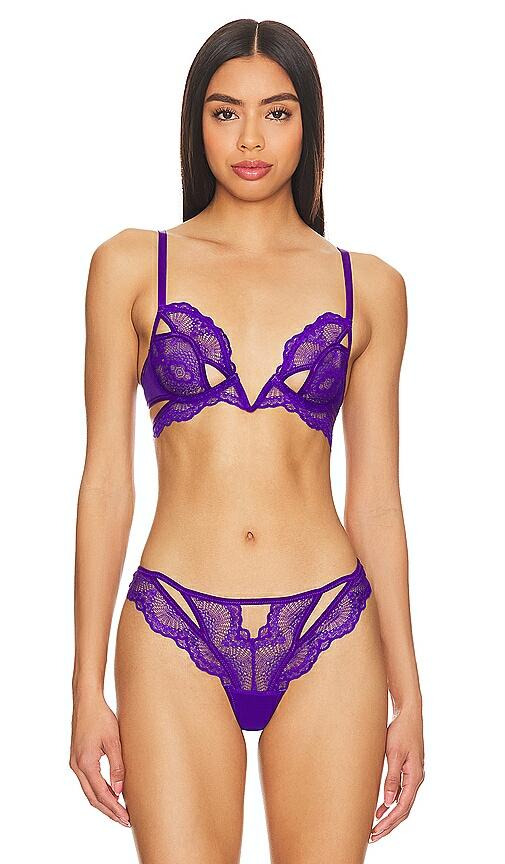 Thistle and Spire Kane V-wire Bra in Purple Cover