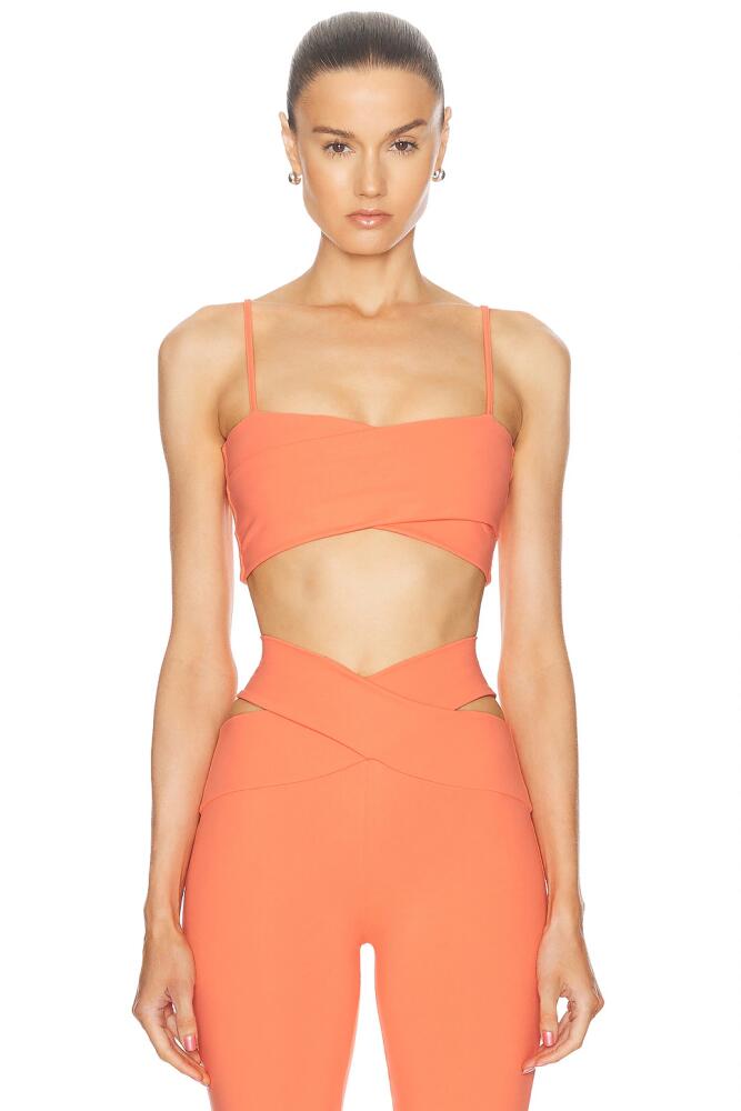 Live The Process Orion Bra in Coral Cover