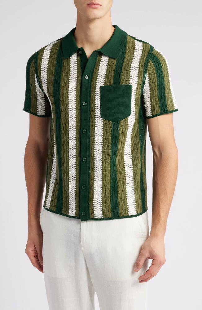 Percival Pathos Stripe Crochet Short Sleeve Organic Cotton Button-Up Shirt in Forest Cover