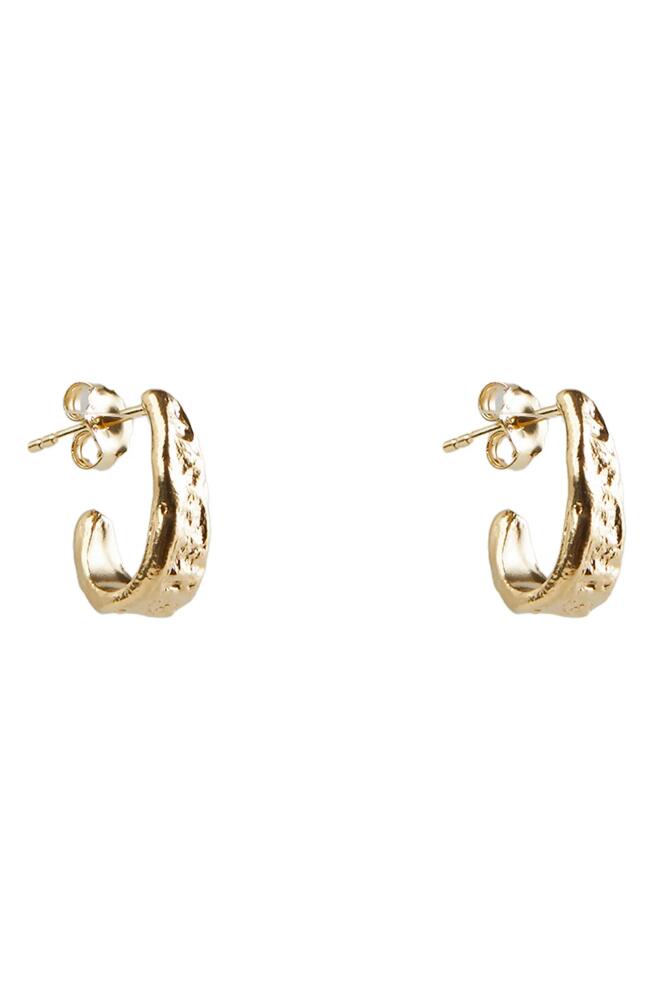 Argento Vivo Sterling Silver Molten J Hoop Earrings in Gold Cover