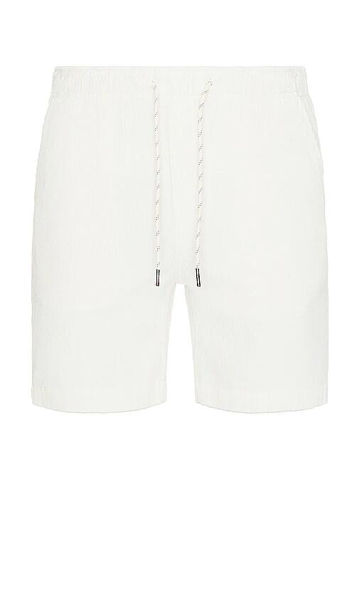 Faherty Drawstring Cord Short in Grey Cover