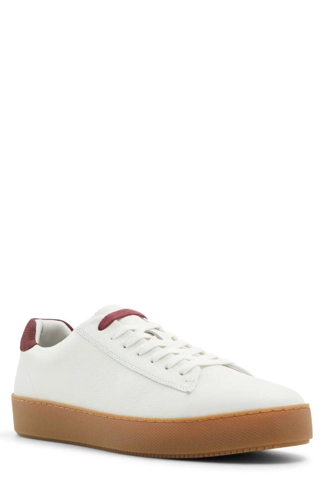 Ted Baker London Westwood Sneaker in White/Gum Cover