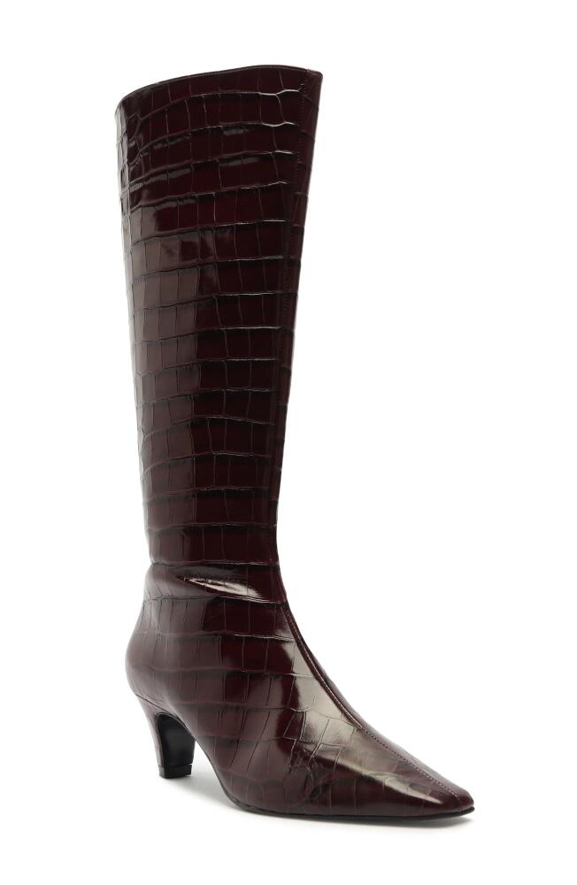 Schutz Dellia Up Knee High Boot in Red Cover