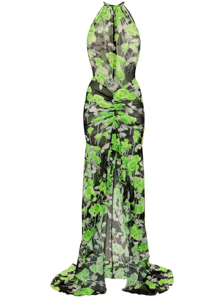 David Koma rose-print mesh maxi dress - Green Cover