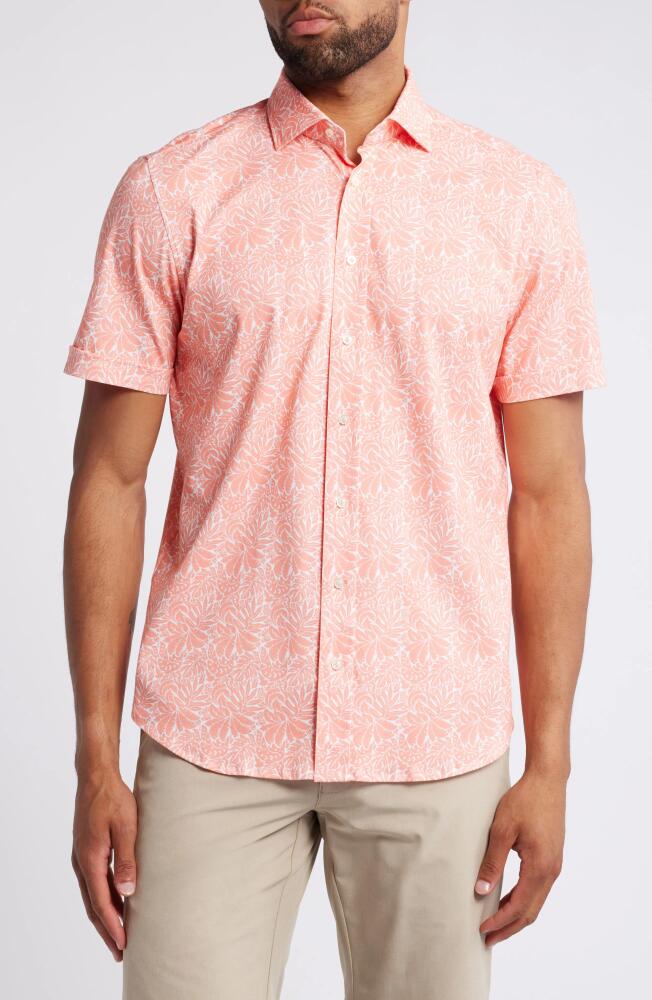 Emanuel Berg 4Flex Modern Fit Leaf Print Short Sleeve Knit Button-Up Shir in Bright Pink Cover