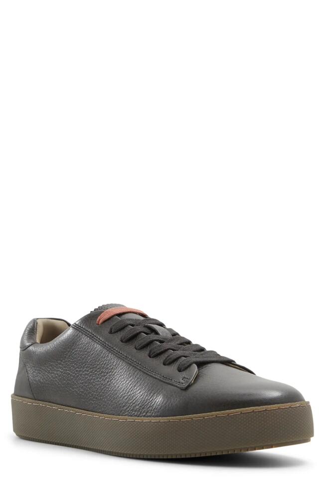 Ted Baker London Westwood Sneaker in Dark Brown Cover