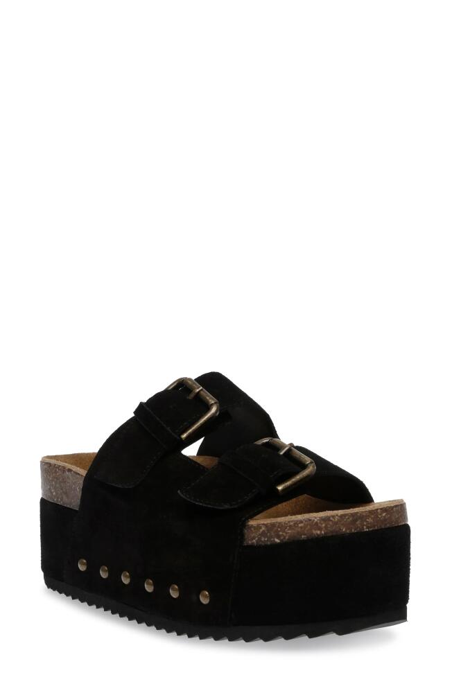 Steve Madden Kali Platform Sandal in Black Suede Cover