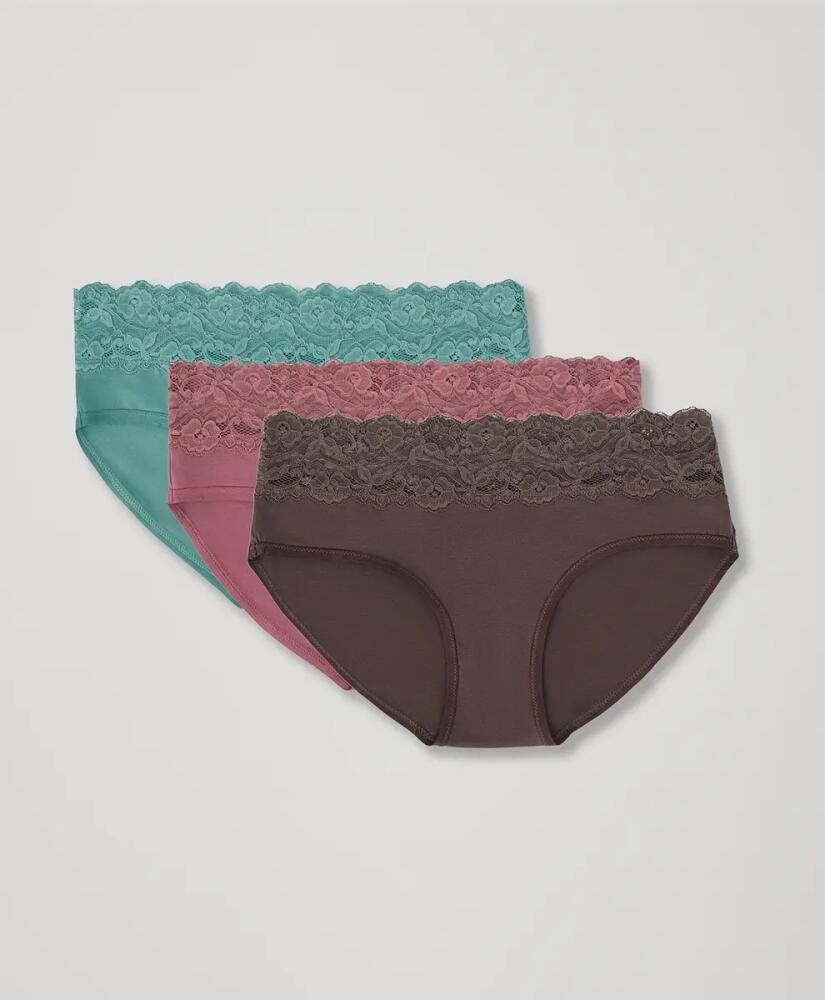 Pact Organic Lace Waist Brief 3-Pack in Harvest Hues Cover