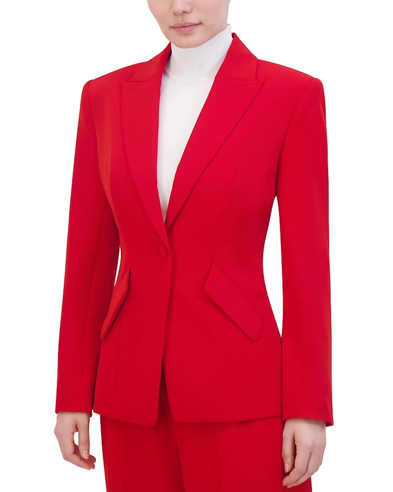 Bcbgmaxazria One Button Blazer Cover