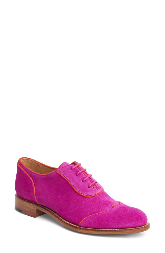 The Office of Angela Scott Mr. Evans Wingtip Oxford in Fuchsia Cover