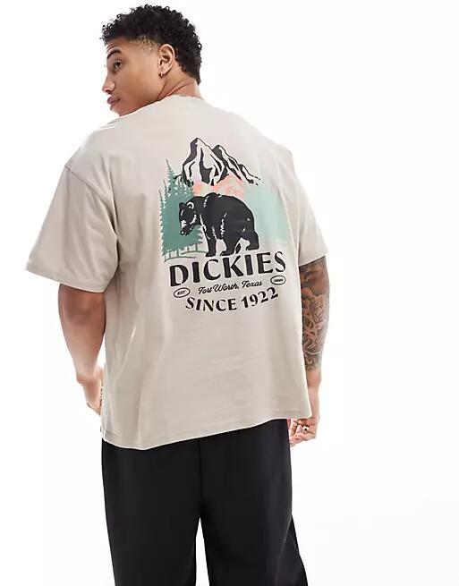 Dickies Bloxom back print t-shirt in beige-Neutral Cover