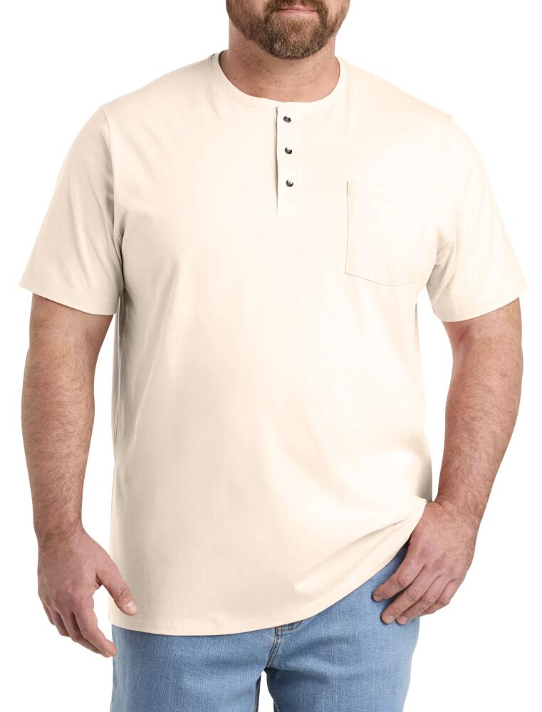 Harbor Bay by DXL Slub Henley Shirt in Sea Salt Cover