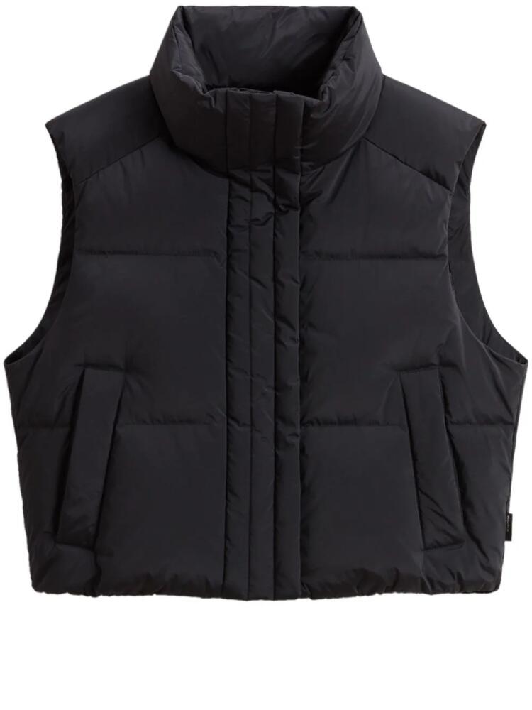 Woolrich Alsea vest - Black Cover