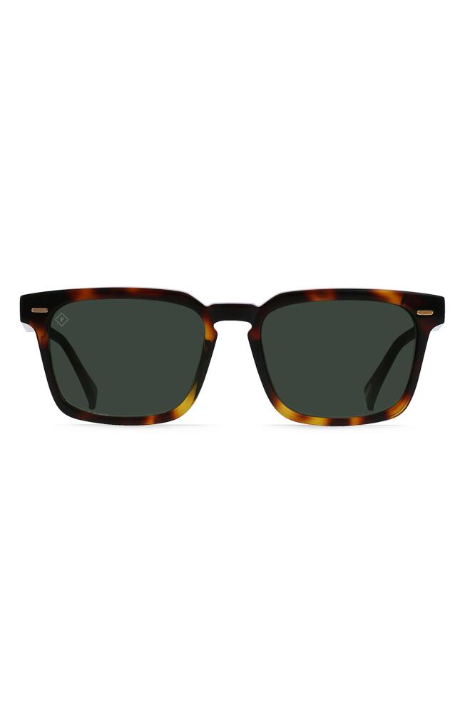 RAEN Adin 54mm Polarized Sunglasses in Kola Tortoise/Green Polar Cover