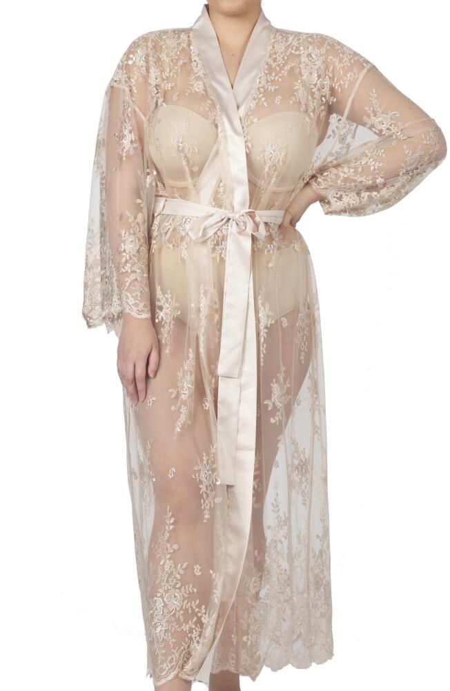 Rya Collection Darling Sheer Lace Robe in Champagne Cover