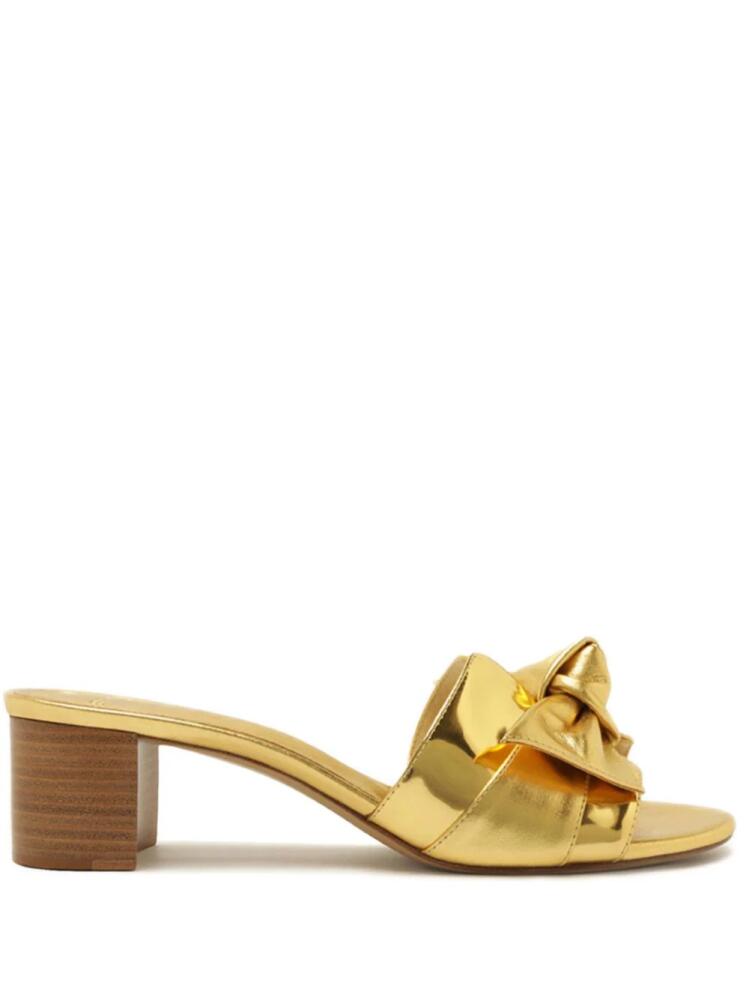 Alexandre Birman Maxi Clarita Block 45 mules - Gold Cover