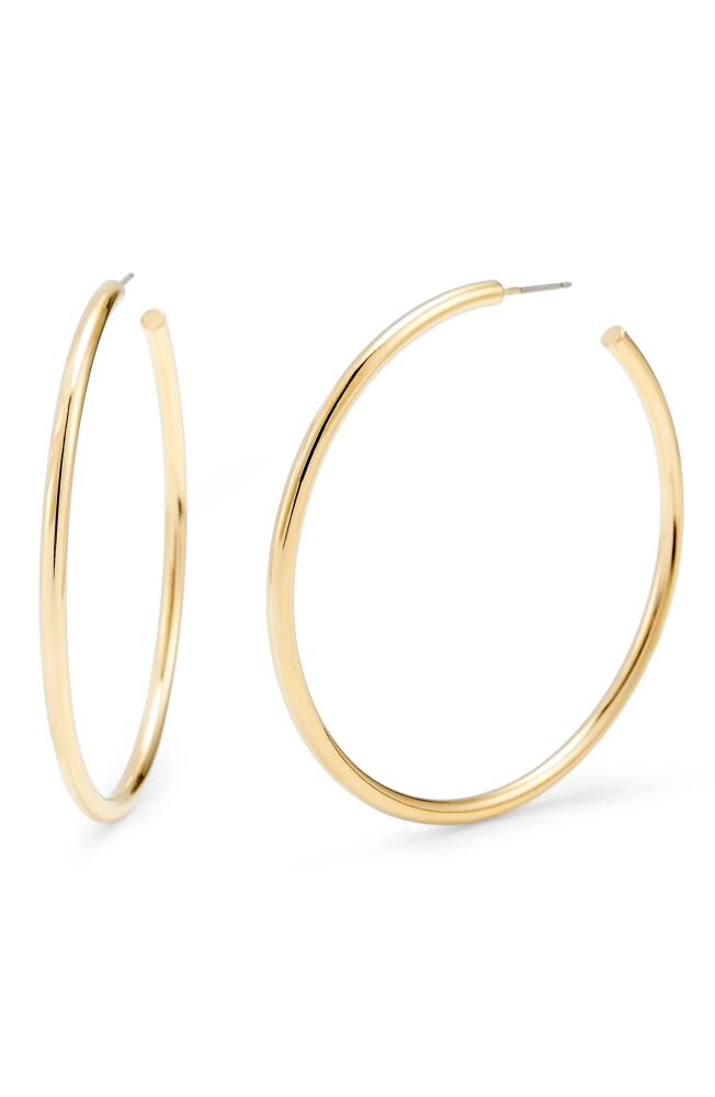 Brook and York Hayley Hoop Earrings in Gold Cover