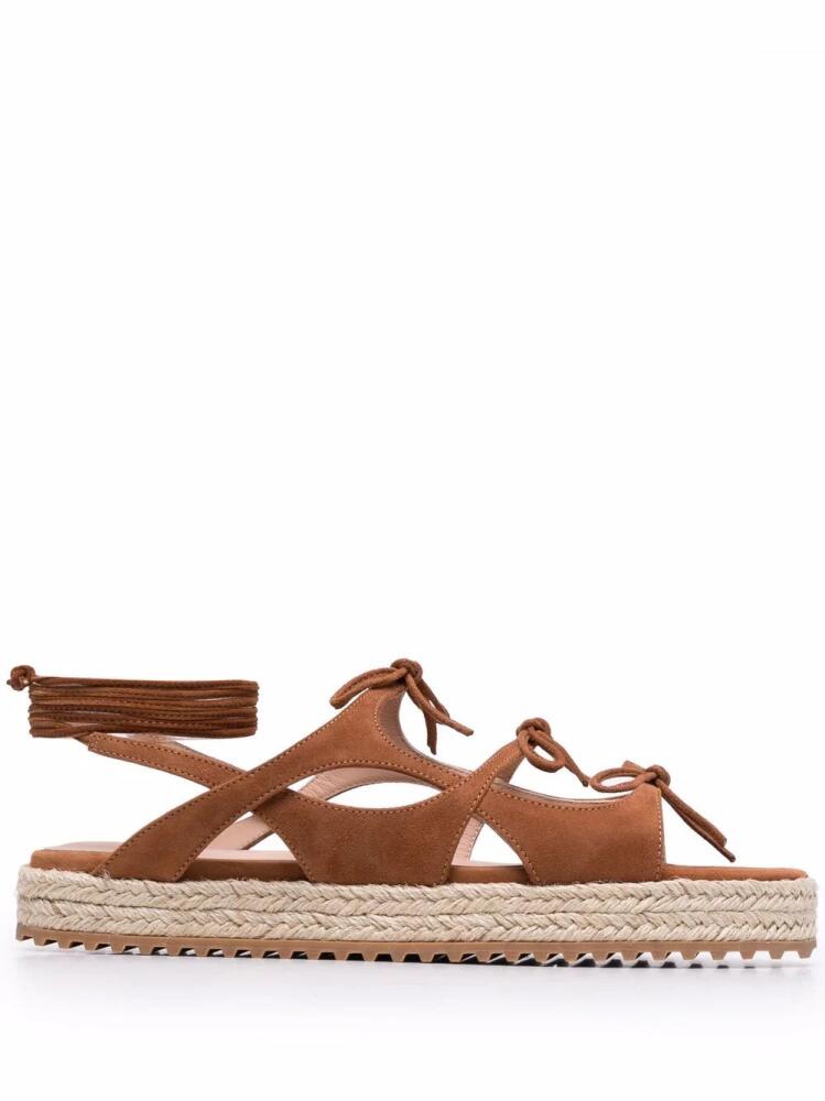 Scarosso x Paula Cademartori West sandals - Brown Cover