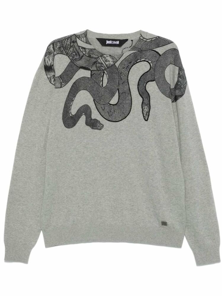 Just Cavalli snake-print sweater - Grey Cover