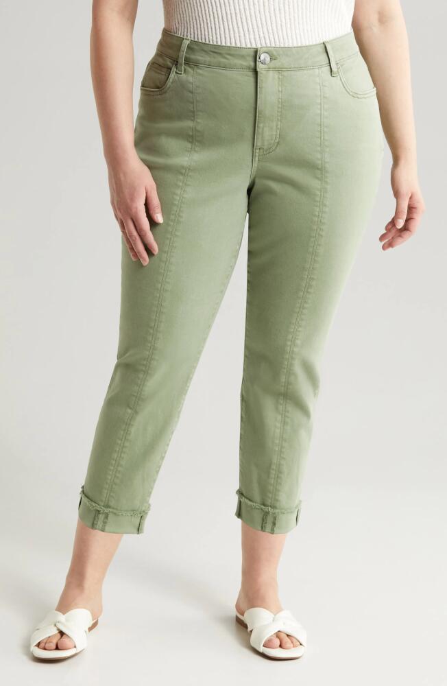 KUT from the Kloth Amy Crop Straight Leg Twill Pants in Tuscan Olive Cover