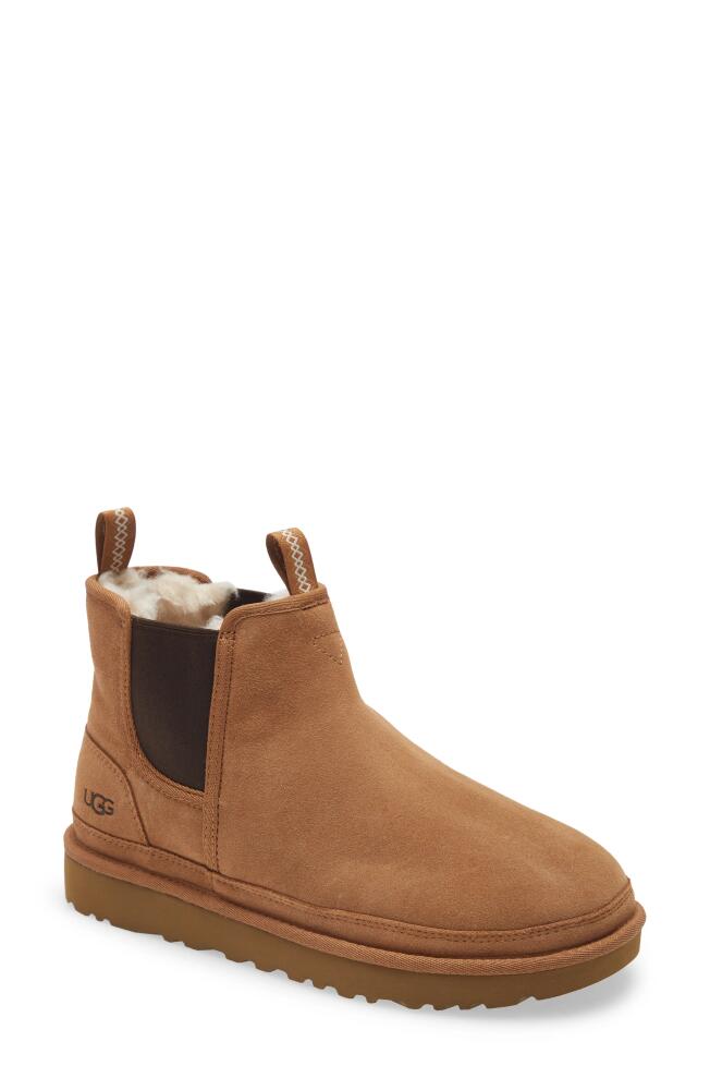 UGG(r) Neumel Chelsea Boot in Chestnut Cover