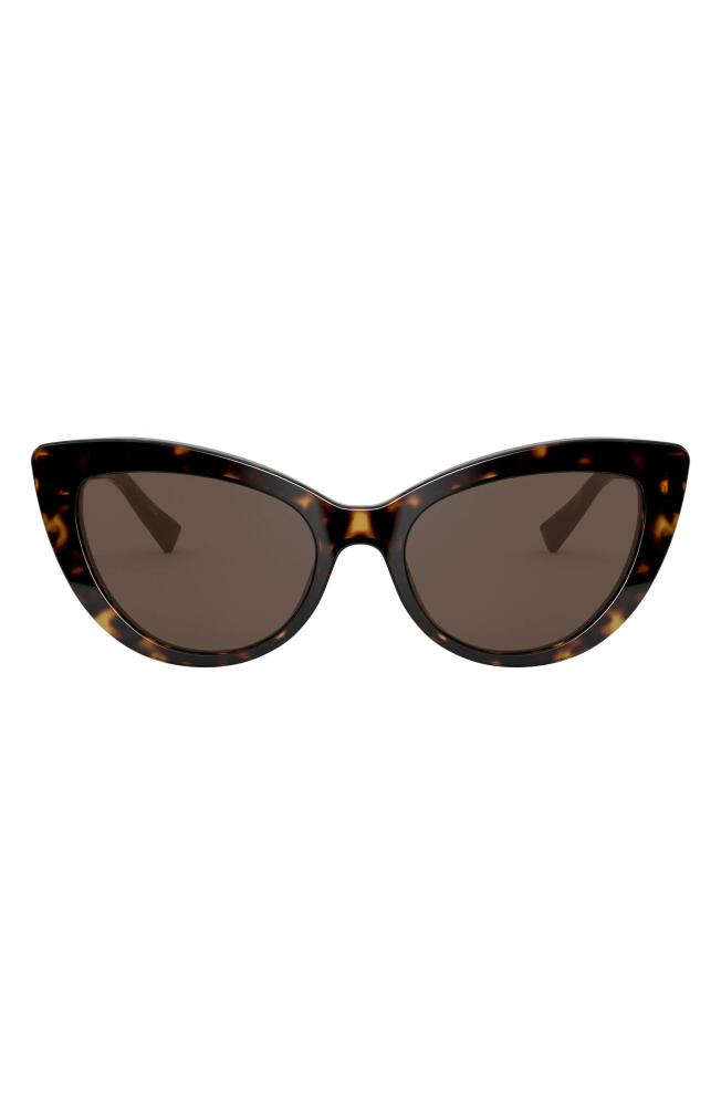 Versace 54mm Cat Eye Sunglasses in Havana/Brown Cover