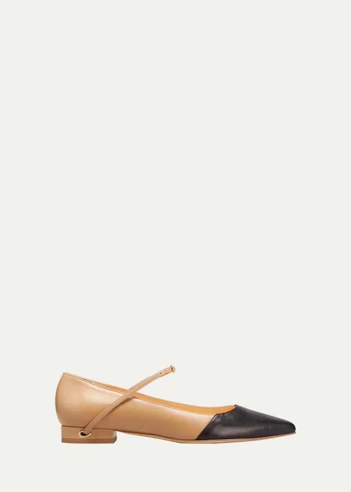 Jennifer Chamandi Lorenzo Bicolor Point-Toe Ballerina Flats Cover