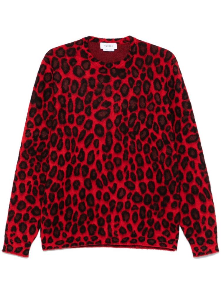 Alexander McQueen leopard jacquard sweater - Red Cover