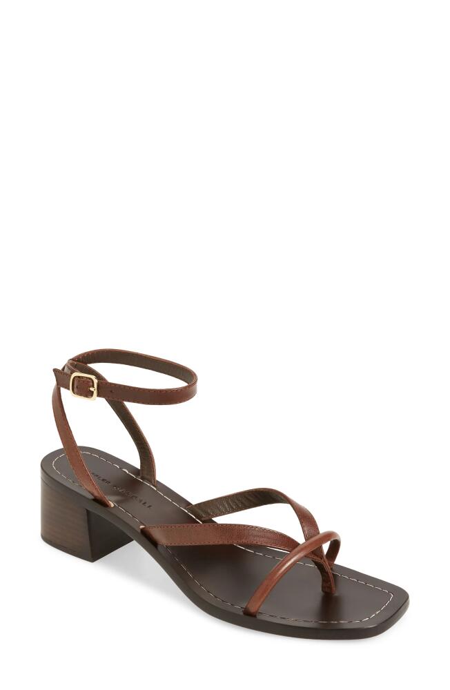 Loeffler Randall Eloise Ankle Strap Sandal in Espresso Cover