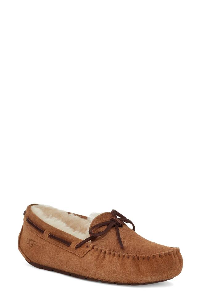 UGG(r) Dakota Slipper in Chestnut Suede Cover